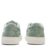 Summer Edition - Green