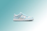 Dunk Low (GS) - White/Glacier Blue