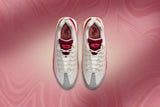 Air Max 95 QS "Anatomy of Air" - Team Red/Summit White/University Red