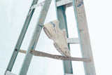 Asics x Above The Clouds Gel-1090 - Birch/Birch